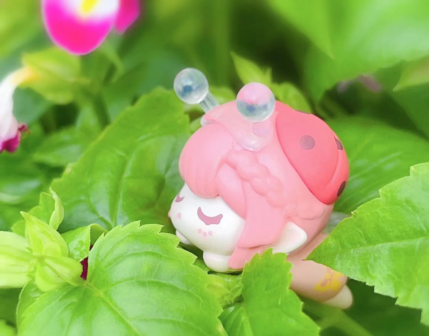 Flora mini bean,5 beans