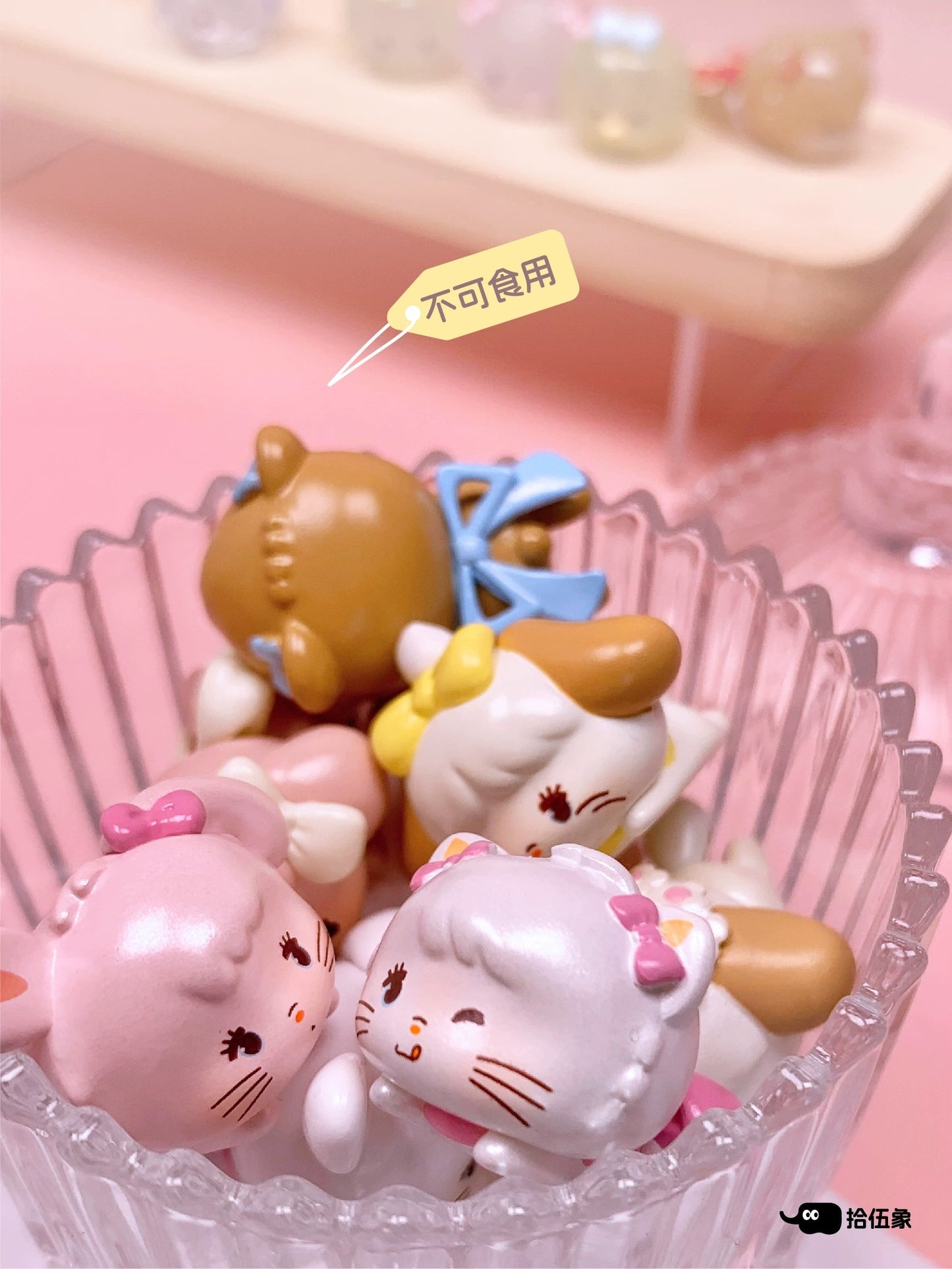 Mikko lying on front mini bean,3 beans