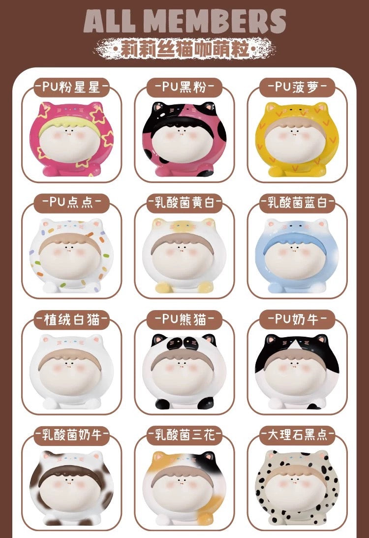 【PREORDER 3 DAYS】AMLLS cat coffee mini bean,5 in 1 bag