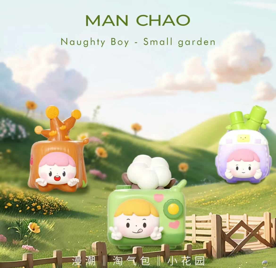 Naughty boy small garden mini bean