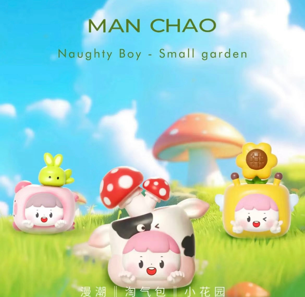Naughty boy small garden mini bean