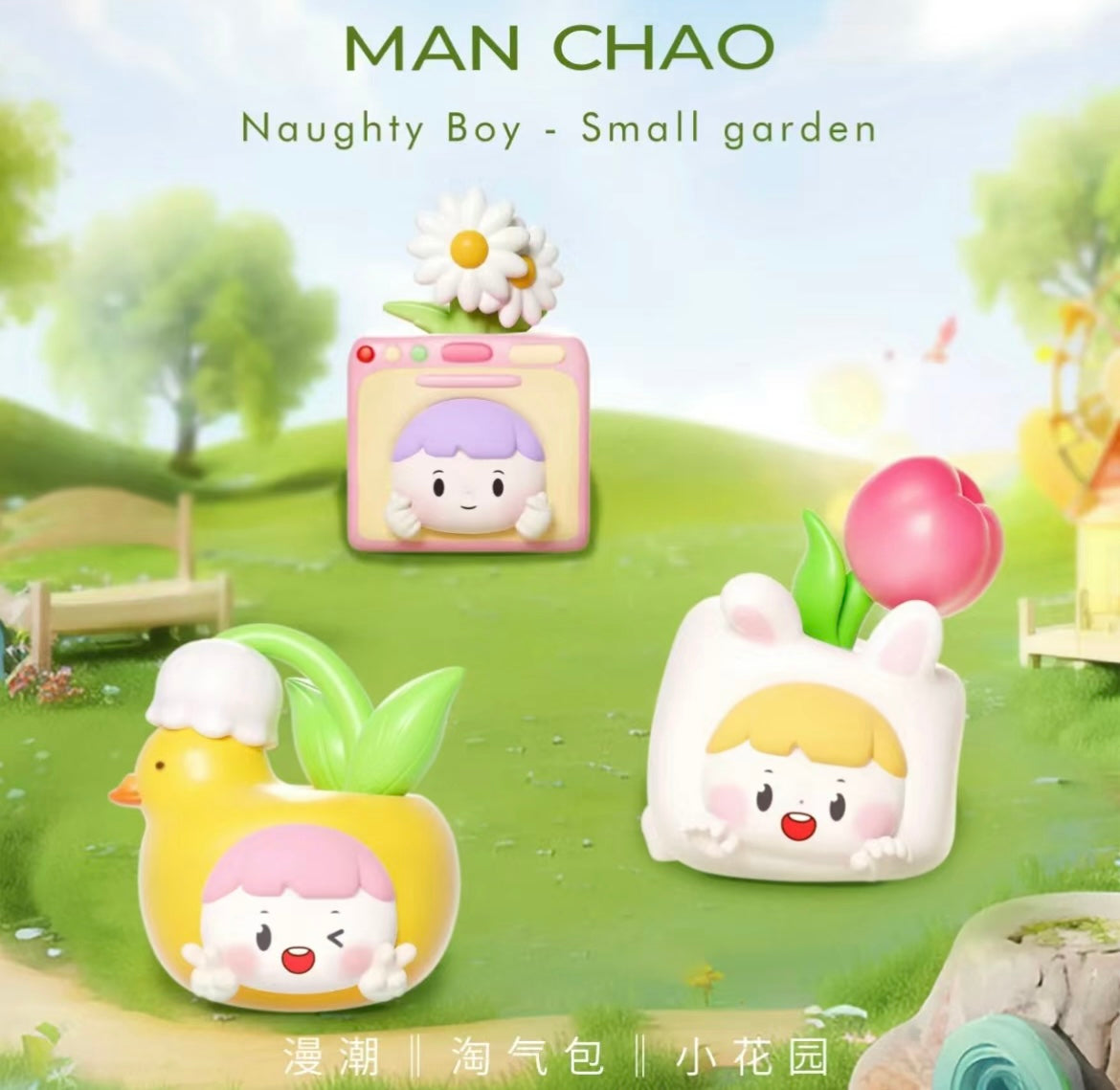 Naughty boy small garden mini bean