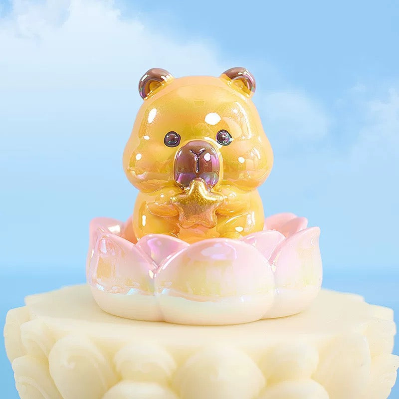 2 boxes Blessing Cute Pet Toy