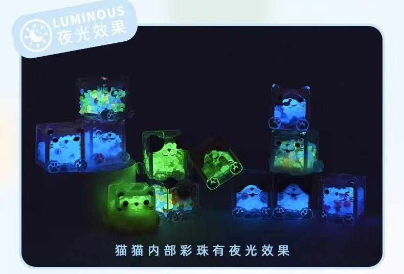 【NEW ARRIVAL】Square Cat LED Light Toy