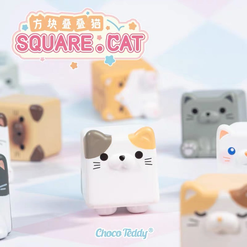 【SALE】CHOCO TEDDY square cat mini bean,5 beans