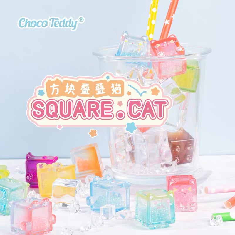 【SALE】CHOCO TEDDY square cat mini bean,5 beans