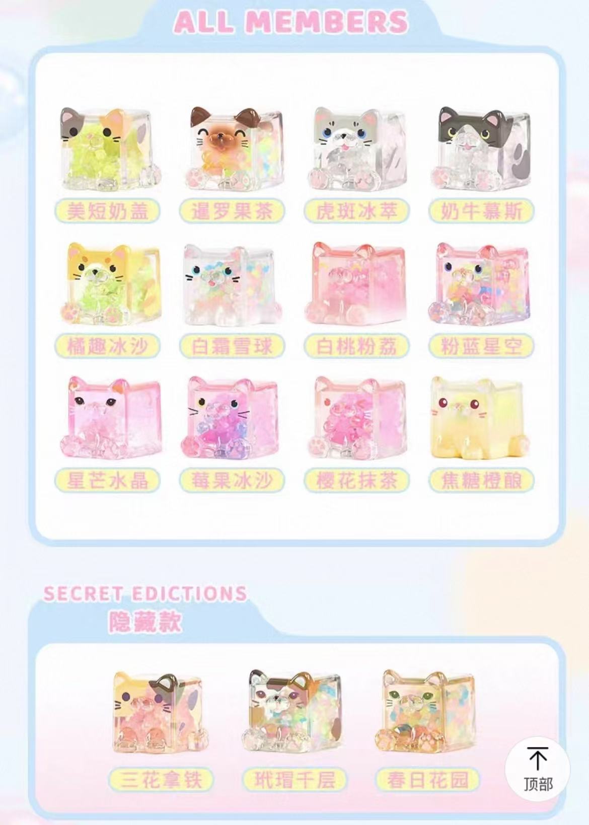 【NEW ARRIVAL】Square Cat LED Light Toy