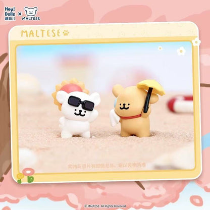 【NEW ARRIVAL】Maltese Weather Forecast Mini Bean,5 In 1 Bag
