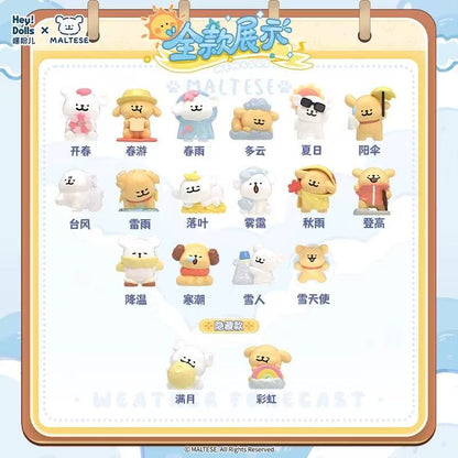 【NEW ARRIVAL】Maltese Weather Forecast Mini Bean,5 In 1 Bag