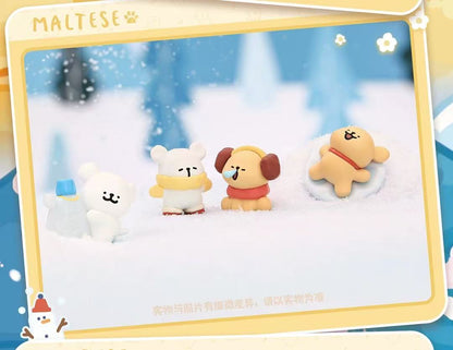 【NEW ARRIVAL】Maltese Weather Forecast Mini Bean,5 In 1 Bag