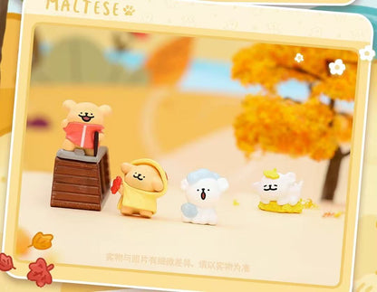 【NEW ARRIVAL】Maltese Weather Forecast Mini Bean,5 In 1 Bag