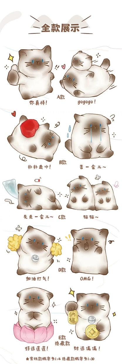 Cat Pal Emotion,2 boxes