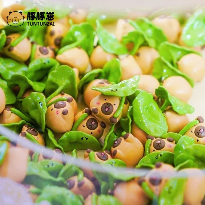 Tuntunzai Chinese Medicine Store Mini Bean,5 In 1 Bag