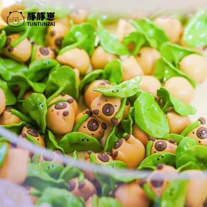 Tuntunzai Chinese Medicine Store Mini Bean,5 In 1 Bag