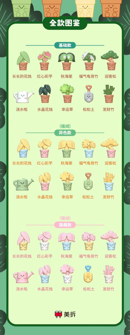 【NEW ARRIVAL】Meichai Fuzzy Plant Pot Mini Bean,3 In 1 Bag