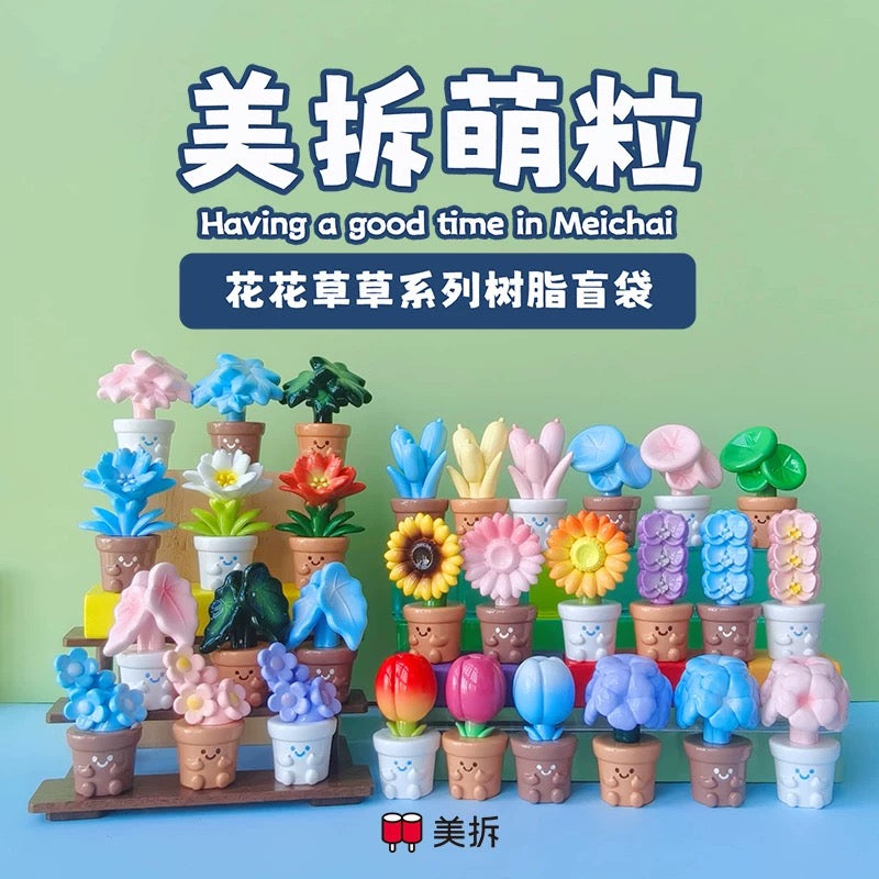 Meichai Flower Plant Mini Bean,3 In 1 Bag