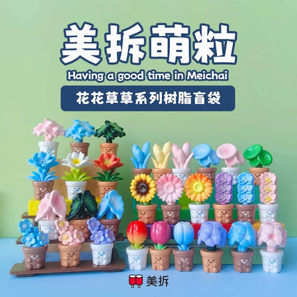 Meichai Flower Plant Mini Bean,3 In 1 Bag