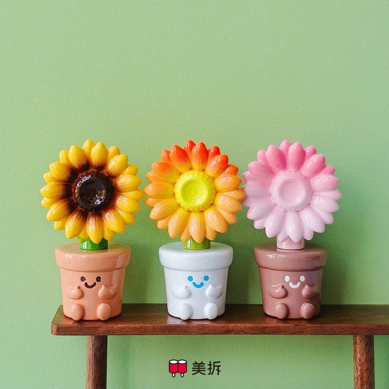 Meichai Flower Plant Mini Bean,3 In 1 Bag