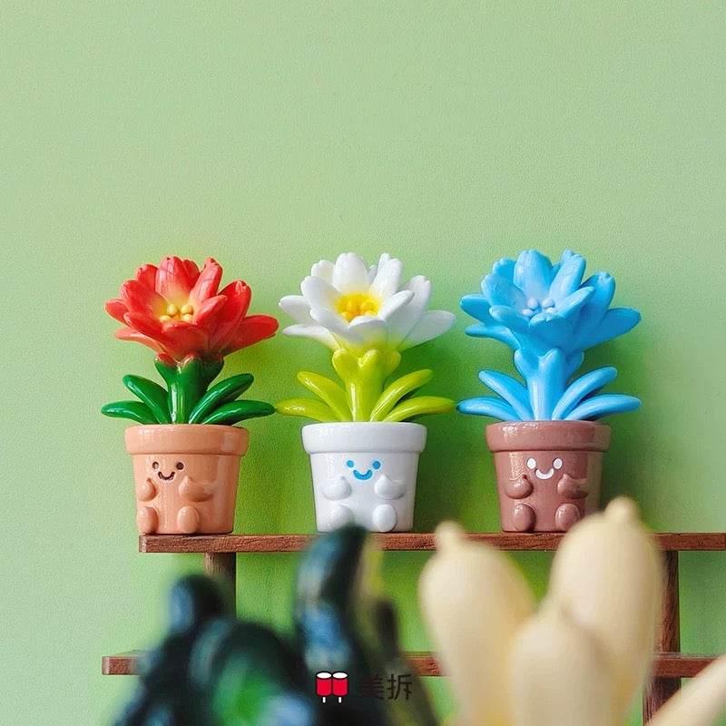 Meichai Flower Plant Mini Bean,3 In 1 Bag