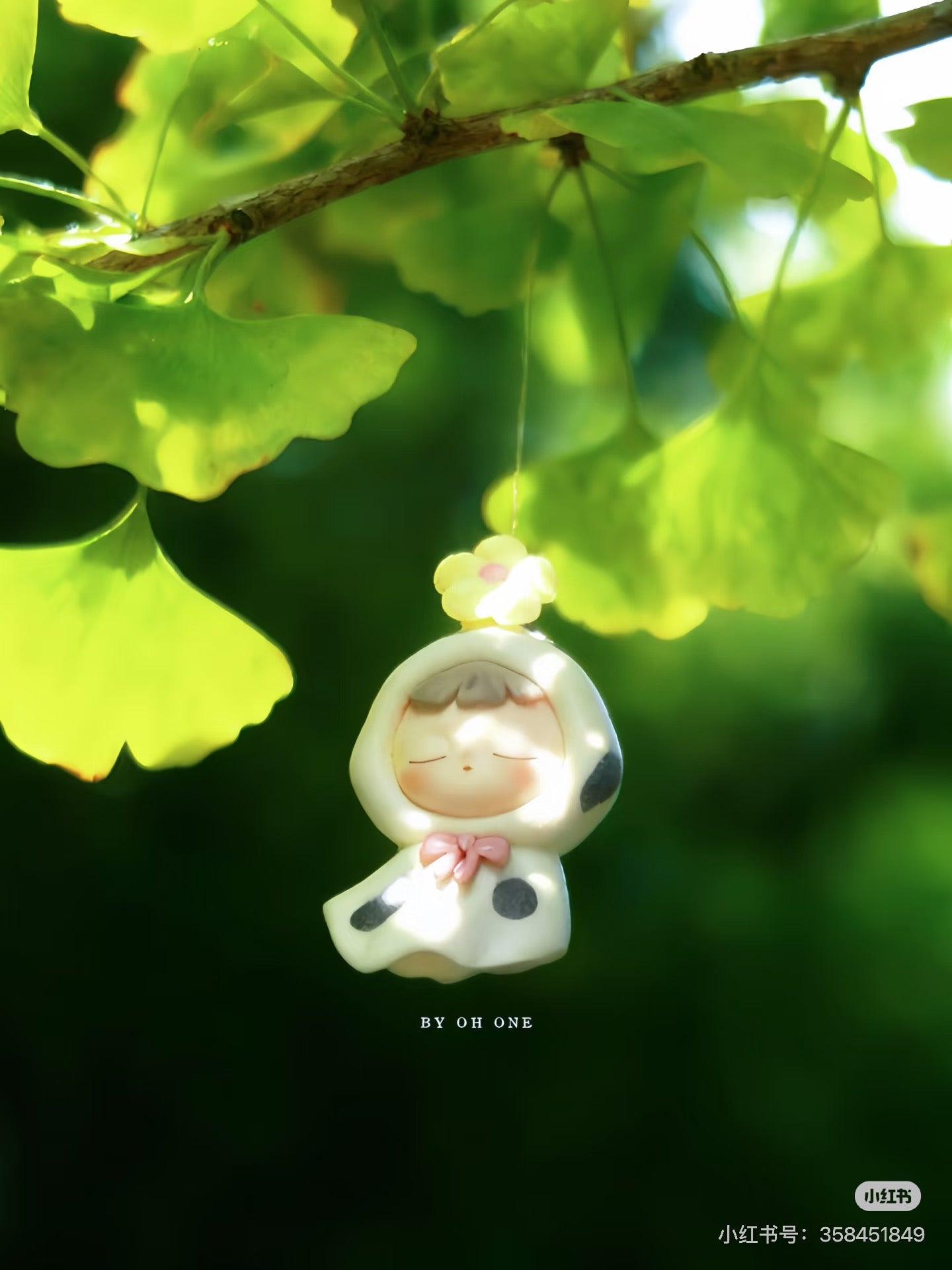 Cimmy Hualala Mini Bean