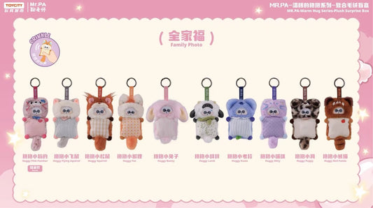 【NEW ARRIVAL】Mr.Pa Warm Hugs Plush Doll